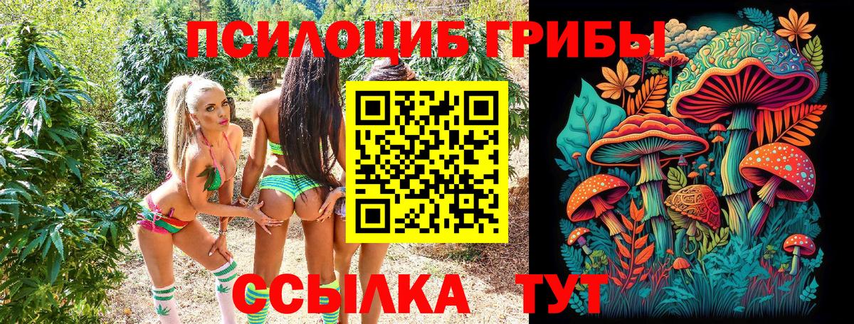 Минусинск  Галлюциногенные грибы Magic Shrooms  Вход с VPN 