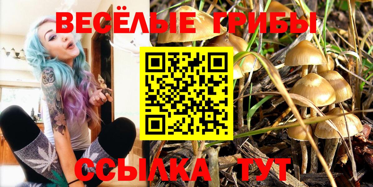 Псилоцибиновые грибы Psilocybine cubensis Минусинск